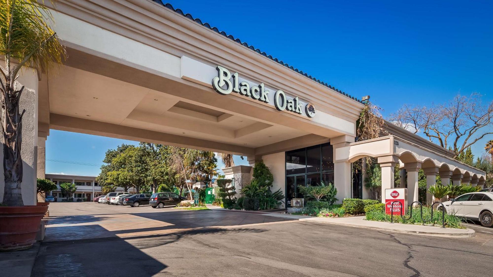 Best Western Plus Black Oak El Paso de Robles Buitenkant foto
